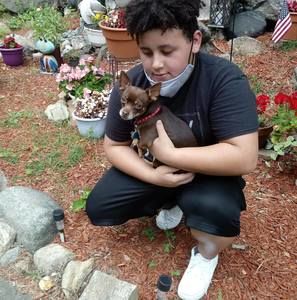 Meet your Posher, Julian